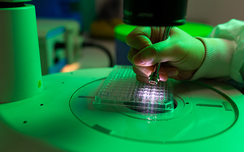 Biophysical characterisation